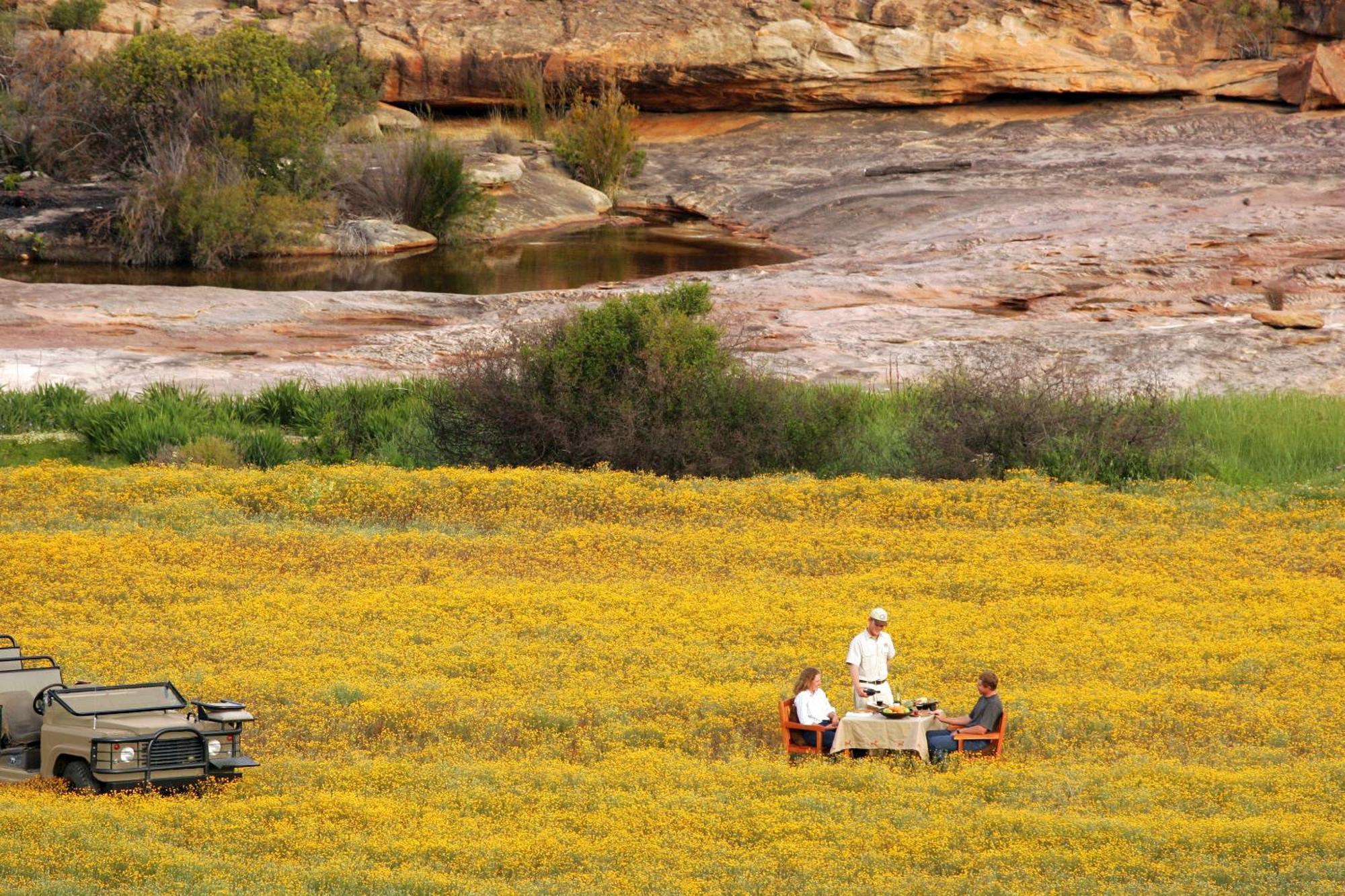 Bushmans Kloof Wilderness Reserve And Wellness Retreat Clanwilliam Dış mekan fotoğraf