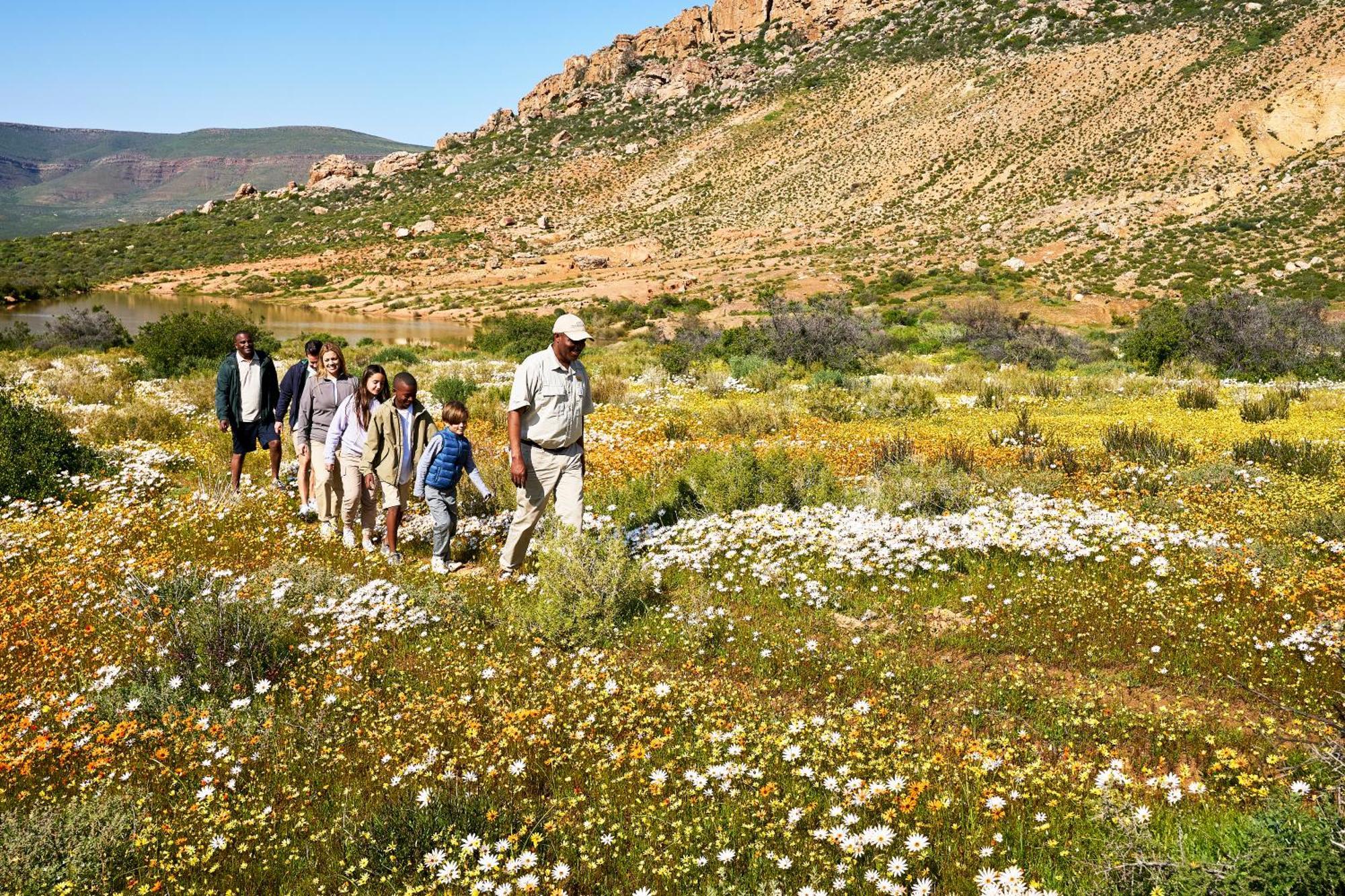 Bushmans Kloof Wilderness Reserve And Wellness Retreat Clanwilliam Dış mekan fotoğraf